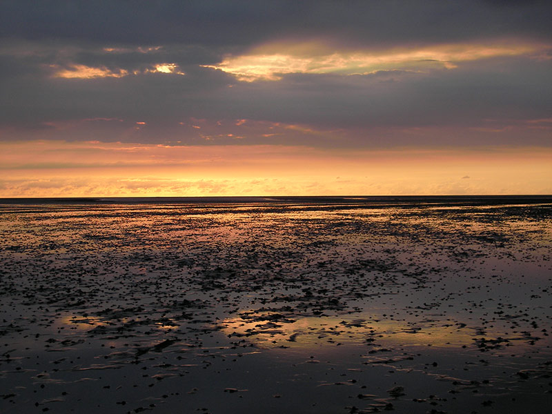 uwe leonhardt umaag cuxhaven